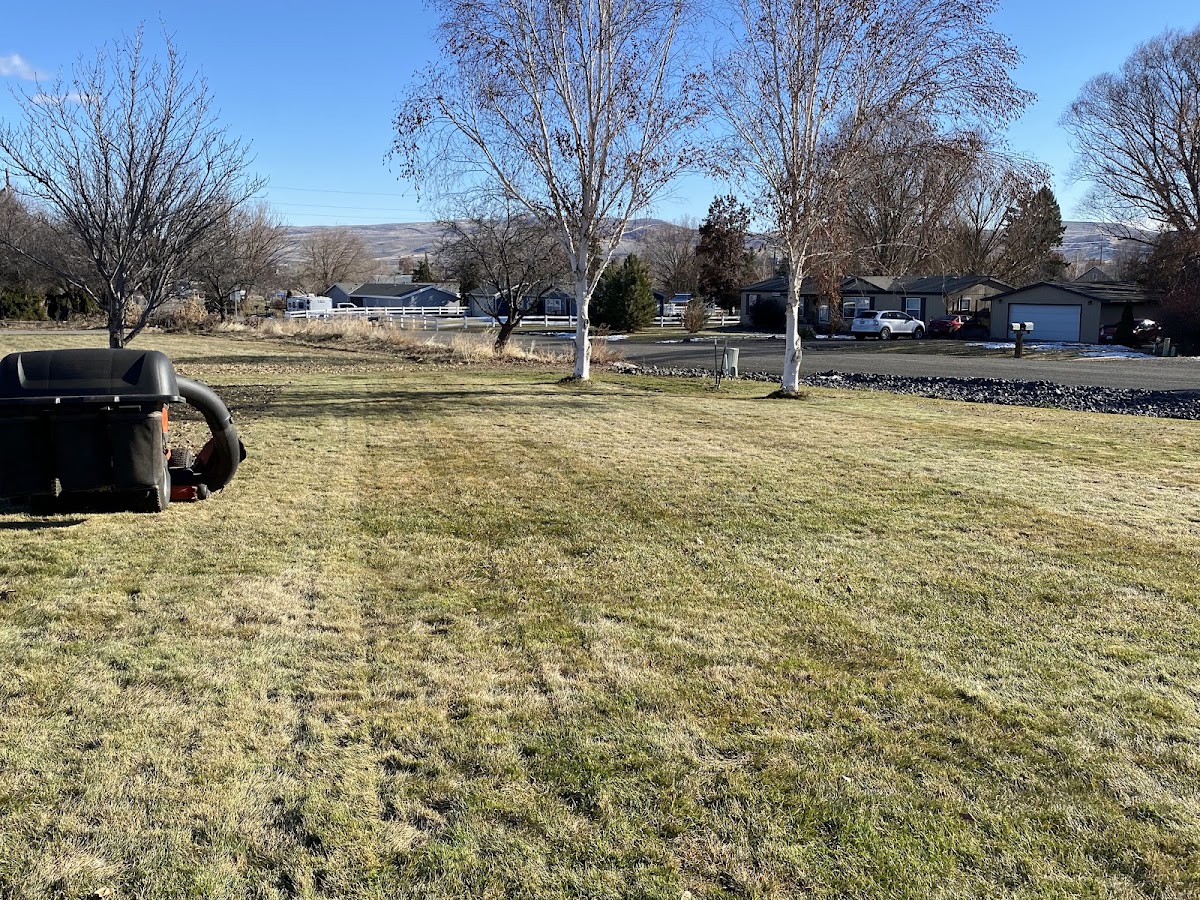 Cleaned-up property with hauling equipment