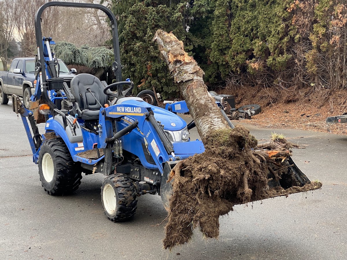 CJ Services compact tractor with loader pulling a tree stump