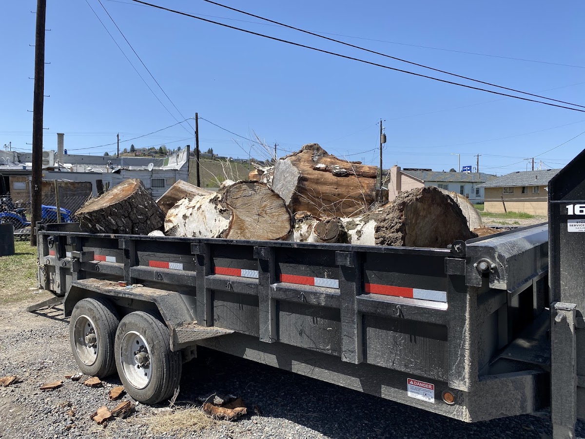 Dump trailer loaded with debris and cut logs